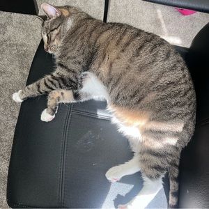 Meet your Posher, Anouk